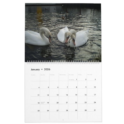 Schoonheid van zwanen kalender (Jan 2026)