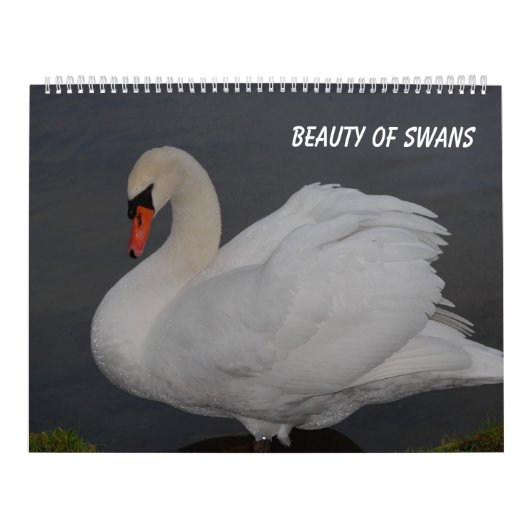 Schoonheid van zwanen kalender (Hoes)