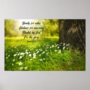 Schoonheid voor Ashes Poster