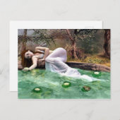 Schoonheid waterlelie briefkaart (Voorkant / Achterkant)