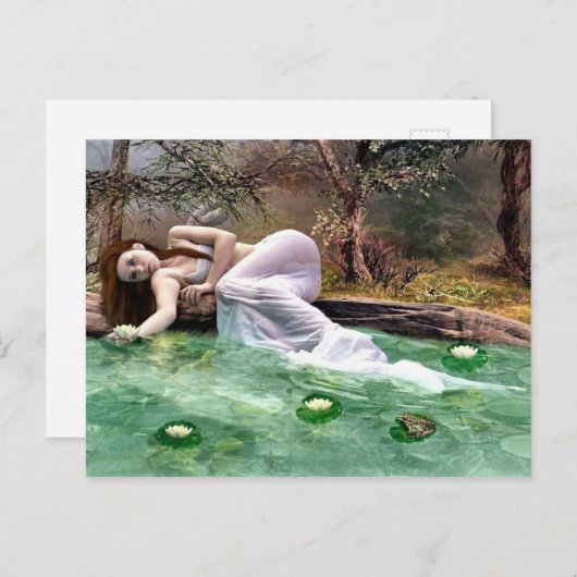 Schoonheid waterlelie briefkaart (Voorkant / Achterkant)