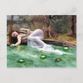 Schoonheid waterlelie briefkaart (Voorkant)