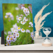 Schoonheidslijn Plaque Fotoplaat (Zijkant)