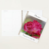 Schoonheidsplanner Roos Planner (Display)
