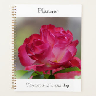 Schoonheidsplanner Roos Planner