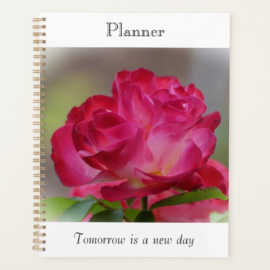 Schoonheidsplanner Roos Planner (Voorkant)