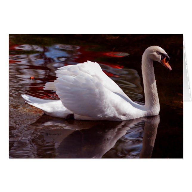 Schoonheidsproducten (Voorkant Horizontaal)