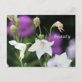 schoonheidsproducten briefkaart (Voorkant)