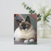 Schoonheidsproducten Briefkaart (Staand voorkant)