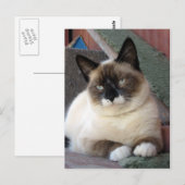 Schoonheidsproducten Briefkaart (Voorkant / Achterkant)