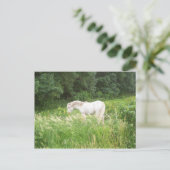 Schoonheidsproducten Briefkaart (Staand voorkant)