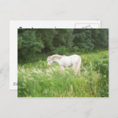 Schoonheidsproducten Briefkaart (Voorkant / Achterkant)