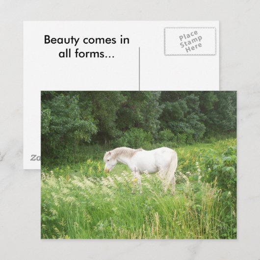 Schoonheidsproducten Briefkaart (Voorkant / Achterkant)