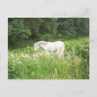 Schoonheidsproducten Briefkaart