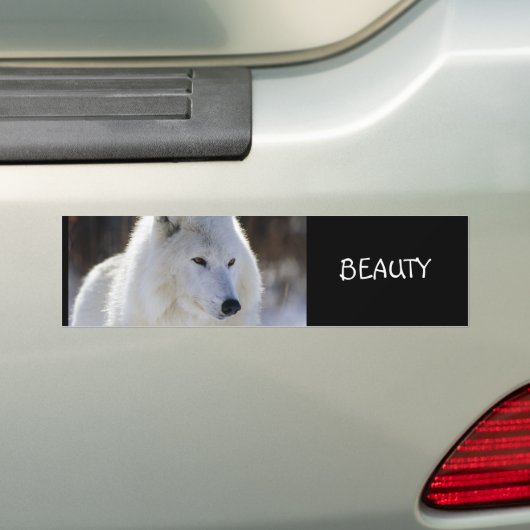 SCHOONHEIDSPRODUCTEN BUMPERSTICKER (Op auto)