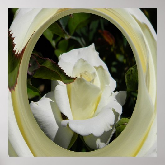 Schoonheidsproducten..... Poster (Voorkant)