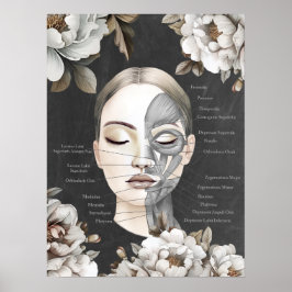 Schoonheidssalon Gezichtsspier Anatomie Decor Poster