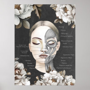 Schoonheidssalon Gezichtsspier Anatomie Decor Poster