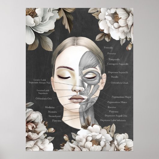 Schoonheidssalon Gezichtsspier Anatomie Decor Poster (Voorkant)