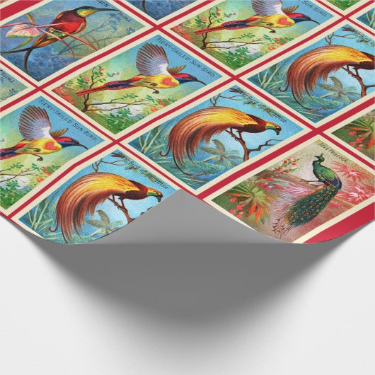  schoonheidstaarten van de vogelpacock cadeaupapier (Hoek)