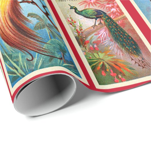 schoonheidstaarten van de vogelpacock cadeaupapier (Rol Hoek)