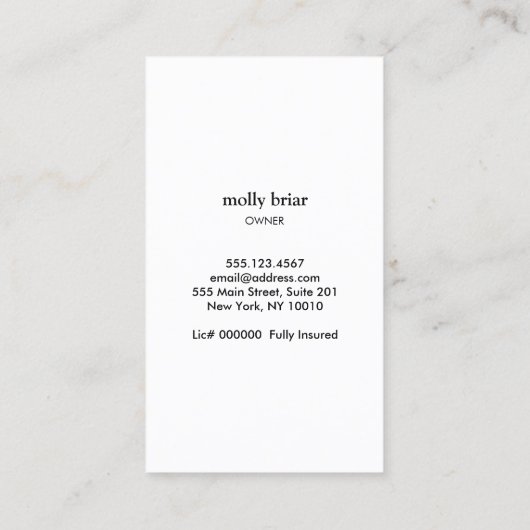 Schoonmaak van huizen Holografische meid Mop Visitekaartje (Achterkant)