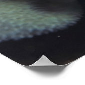 Schoonmaakpannen Poster (Hoek)