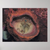 Schoonmaakpannen Poster (Voorkant)