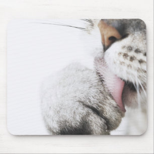 Schoonmaakpoot, close-up muismat