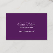 Schoonmaakprogramma's voor hairdresser Stylist Sal Visitekaartje (Achterkant)