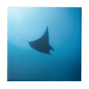 Schoonmaakstation voor manta-ray blue oceaan tegeltje