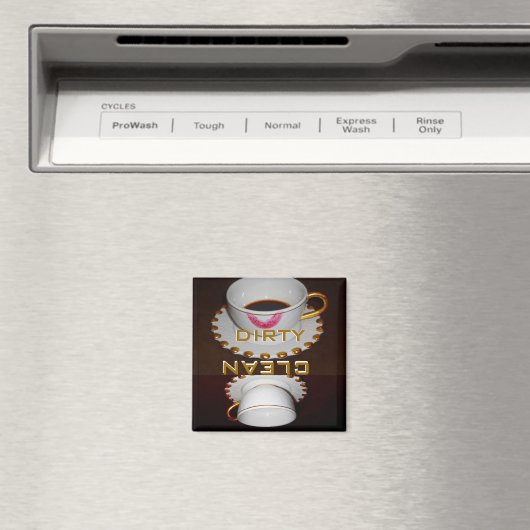 Schoonmaakwasmachine of vuilnis magneet (Insitu (Vaatwasser))