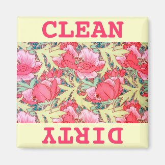Schoonmaakwasmachine/vuilwasmachine Magnet