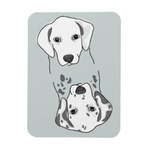 Schoonmaakwasmachine/vuilwasmachine Magnet Magneet