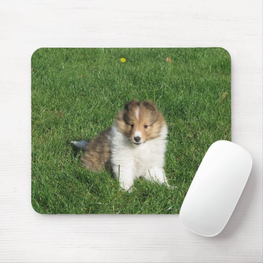 Schoonpups in grasmousepad muismat (Met muis)