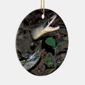 Schoonratslang Keramisch Ornament (Rechts)