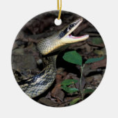 Schoonratslang Keramisch Ornament (Voorkant)