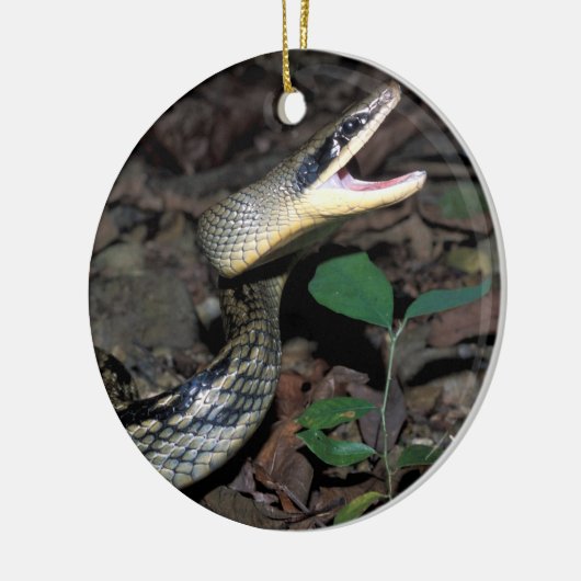 Schoonratslang Keramisch Ornament (Links)