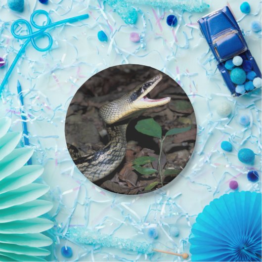 Schoonratslang Papieren Bordje (Feest)