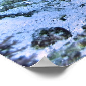 Schoonschildpad Poster (Hoek)