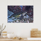 Schoonschildpad Poster (Keuken)