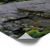 schoorsteen bovenaan bij het Grote Smoky-gebergte Poster (Hoek)