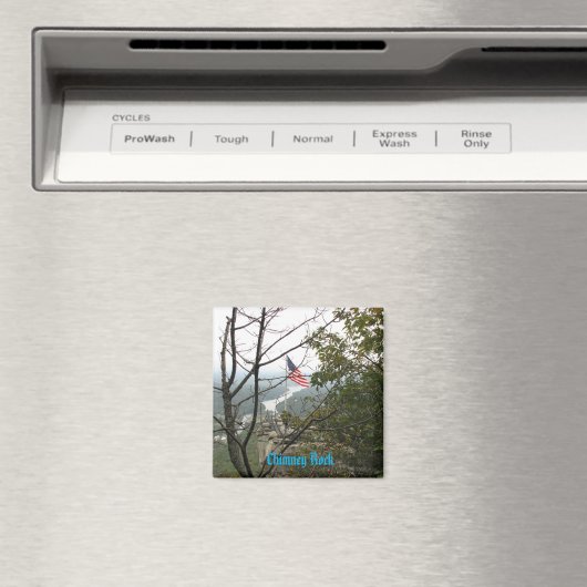 schoorsteenmagneet magneet (Insitu (Vaatwasser))