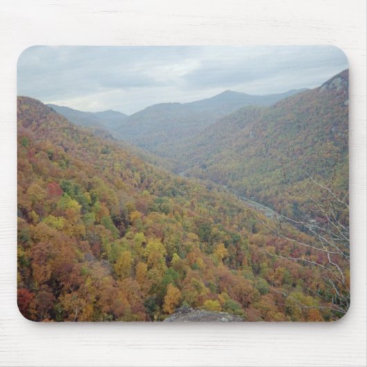 Schoorsteenrots in North Carolina Muismat (Voorkant)