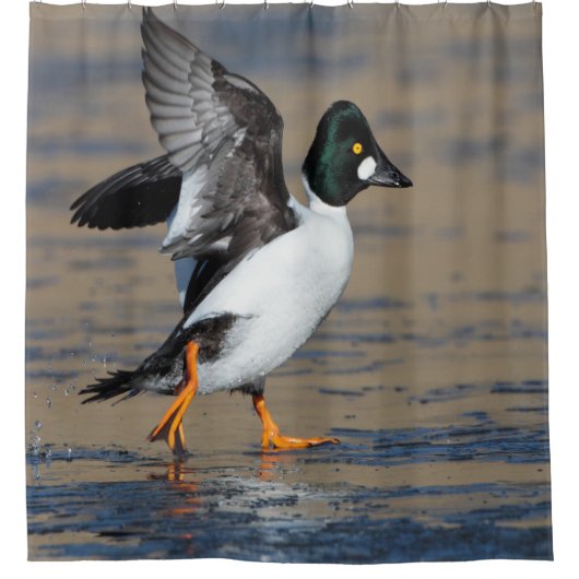 schoot van een goudoog douchegordijn (Voorkant)