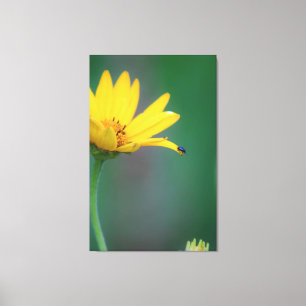 Schop van het geloof! canvas afdruk