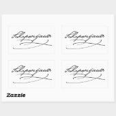Schopenhauer Handtekening Rechthoekige Sticker (Vel)