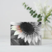 schoppen van briefkaarten in de zon (Staand voorkant)