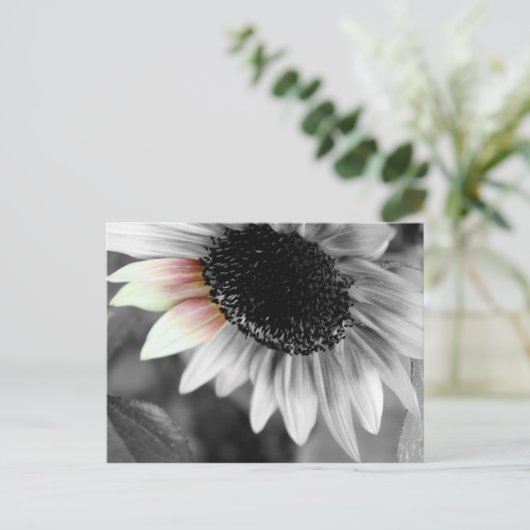 schoppen van briefkaarten in de zon (Staand voorkant)