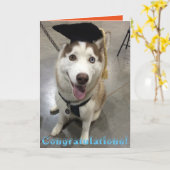 Schor gediplomeerde klasse kaart (Gele Bloem)